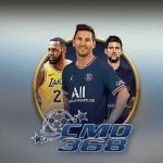 AAAJL interface – sports market and betting categories